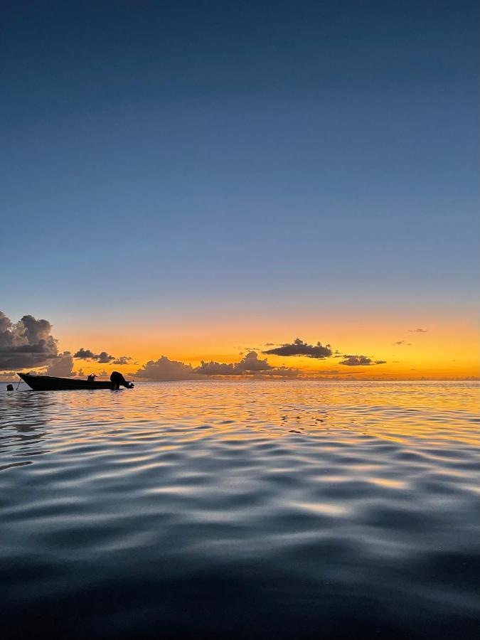 Sunset Appart, T2 Avec Vue Mer Et Plage A 1 Km Le Carbet Exterior photo